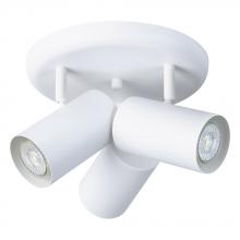  206042A - Calloway 3L Ceiling Light