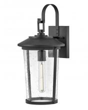 Lark Canada 82024BK - Medium Wall Mount Lantern