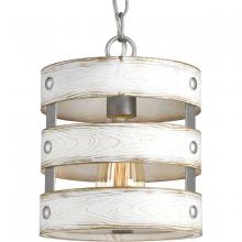  P500022-141 - Gulliver Collection One-Light Galvanized Finish Coastal Pendant Light