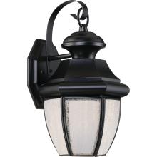 Quoizel NYL8407K - Newbury LED Outdoor Lantern