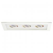 WAC Canada MT-316LED-WT/WT - Low Voltage Multiple Two Light Trim