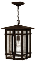 Hinkley Canada 1962OZ - Medium Hanging Lantern