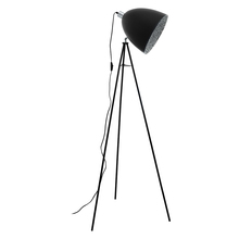 Eglo Canada 39499A - Mareperla 1-Light Floor Lamp