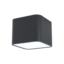  99283A - Grimasola 1-Light Flush Mount